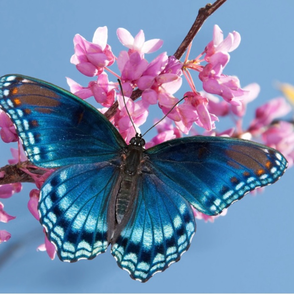 Meet your Posher, Kayel Boutique